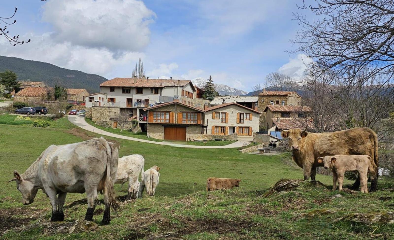 Can Tubau - Casa Rural - Apartaments Campelles Exteriér fotografie